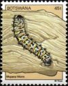 Mopane Worm (Gonimbrasia belina)