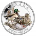 10 Dollars (Ducks of Canada - Mallard)