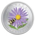 25 Cents (Aster with Bumble Bee)