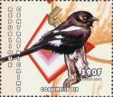 Magpie Shrike (Lanius melanoleucus)