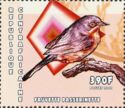 Western Subalpine Warbler (Curruca iberiae)
