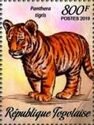 Panthera tigris