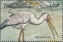 Yellow-billed Stork (Mycteria Ibis)