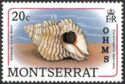 Globular Coral Shell (Coralliophila aberrans) - Overprinted