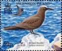 Brown Noddy (Anous stolidus)