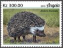 Southern African Hedgehog (Atelerix frontalis)
