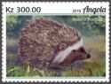 Southern African Hedgehog (Atelerix frontalis)
