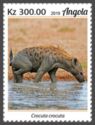 Spotted Hyaena (Crocuta crocuta)