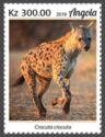 Spotted Hyaena (Crocuta crocuta)