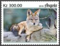 Black Backed Jackal (Canis mesomelas)