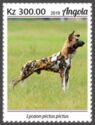 African Wild Dog (Lycaon pictus)