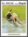 African Wild Dog (Lycaon pictus)