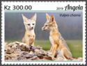 Cape Fox (Vulpes chama)