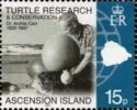 Turtle Research and Conservation