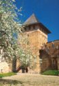 Lutsk. Castle XIV centry. Inside yard.
