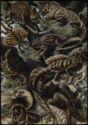 Ernst Haeckel - »Lacertilia – Eidechsen« (lizards)