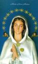 "Saint Mary - Mystic Rose", Genova, ATL - Genova (IT), Liguria - Madonna