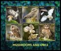 Mushrooms and Owls