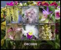 Orchids