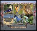 Birds of Liberia