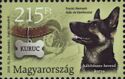 Drug Search, Shepherd (Canis lupus familiaris)