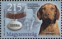 Szikra, Dog (Canis lupus familiaris)