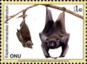 Livingstone's Flying Fox (Pteropus livingstonii)