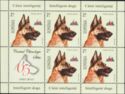 German Shepherd (Canis lupus familiaris)