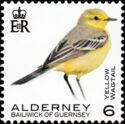 Yellow Wagtail (Motacilla flava)