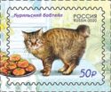 Cats (Kurilian Bobtail)