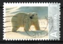 Svalbard - Icebear