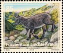 Alpine Ibex (Capra ibex)