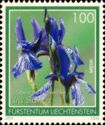 Iris sibirica