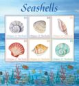 Seashells