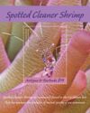 Spotted Cleaner Shrimp (Periclimenes yucatanicus)