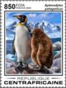 King Penguin (Aptenodytes patagonicus)
