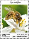 Apis mellifera
