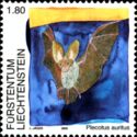 Brown Long-eared Bat (Plecotus auritus)
