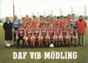 DAF VfB Modling Football Club - team 1988/89