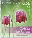 Fritillaria meleagris L