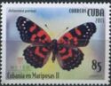 Cuban Checkerspot (Atlantea perezi)