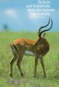 Impala - Aepyceros melampus