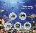 Turtles of Oman