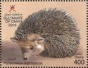 Desert Hedgehog (Paraechinus aethiopicus)