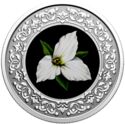 3 Dollars (Ontario: White Trillium)