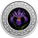 3 Dollars (Quebec: Blue Flag Iris)