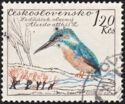 Common Kingfisher (Alcedo atthis)