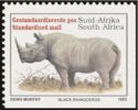 Black Rhinoceros (Diceros bicornis)
