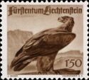 Golden Eagle (Aquila chrysaetos)