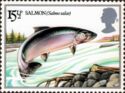 Atlantic Salmon (Salmo salar)